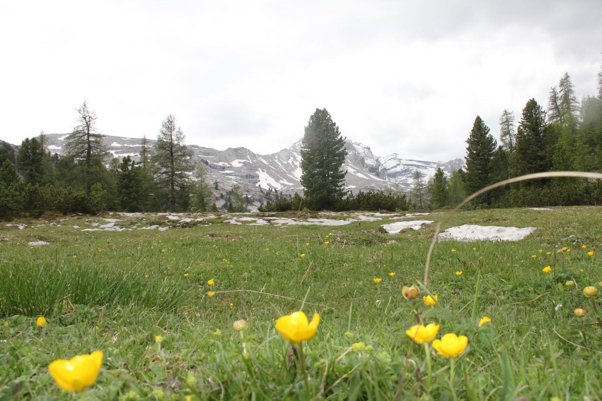 Pensione Arnica San Vigilio Di Marebbe Esterno foto